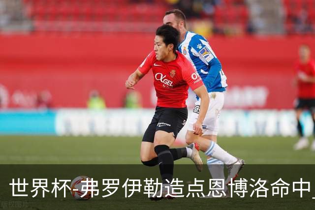 世界杯-弗罗伊勒造点恩博洛命中 瑞士半场暂1-0卡塔尔